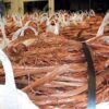 High Purity Copper Wire Scrap 99.99% - Copper Scrap